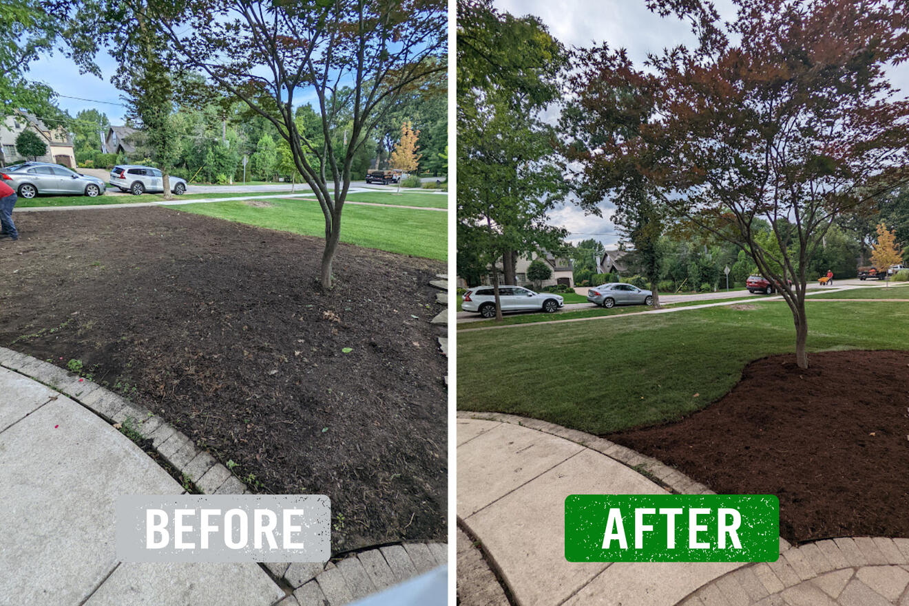 lous lawncare gallery